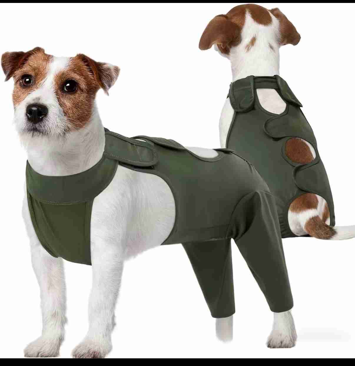 FAJA POSTOPERATORIA MEDIANA LICRA