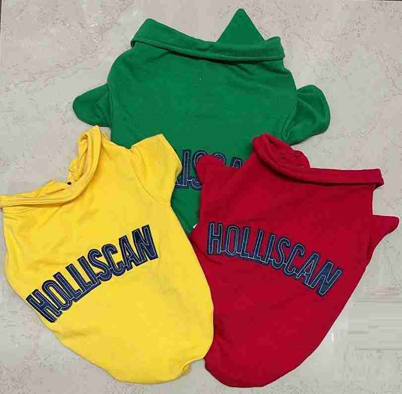 PLAYERA HOLLISCAN TALLA 1