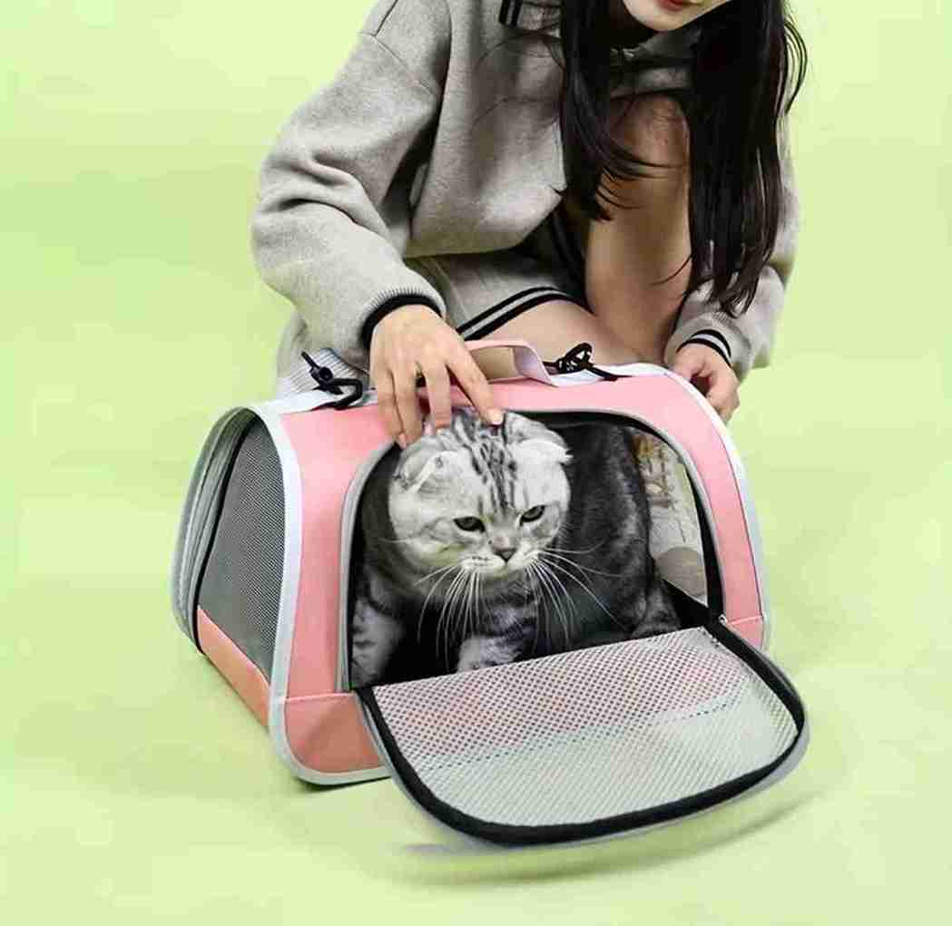 TRANSPORTADORA PARA PERRO PEQUEÑOS