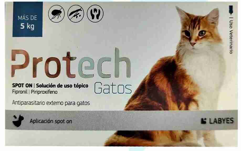 PROTECH ANTIPARASITARIO EXTERNO GATOS MAS 5KG (1 PIPETA)