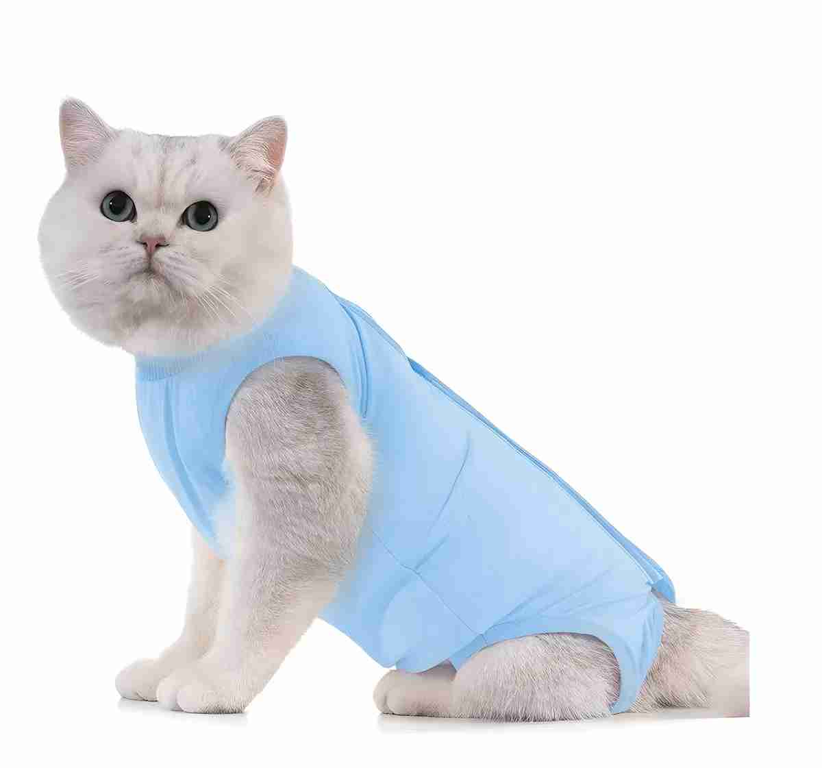 FAJA POSTOPERATORIA GATO LOVE & PETS TALLA CHICA