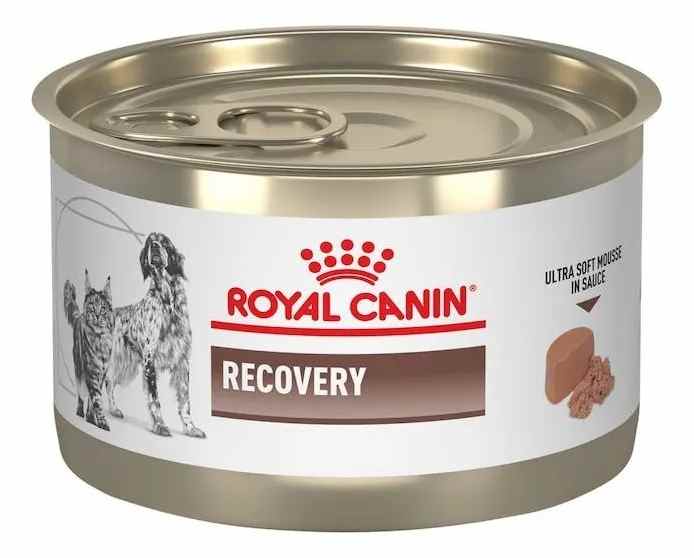 ROYAL CANIN LATA RECOVERY 145GR