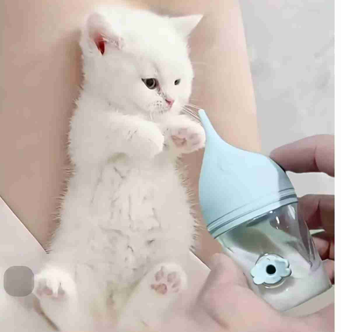 MAMILA (PET BABY BOTTLE) 80ML