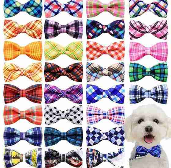 MOÑO PARA CORREA PERRITA (VARIOS COLORES)