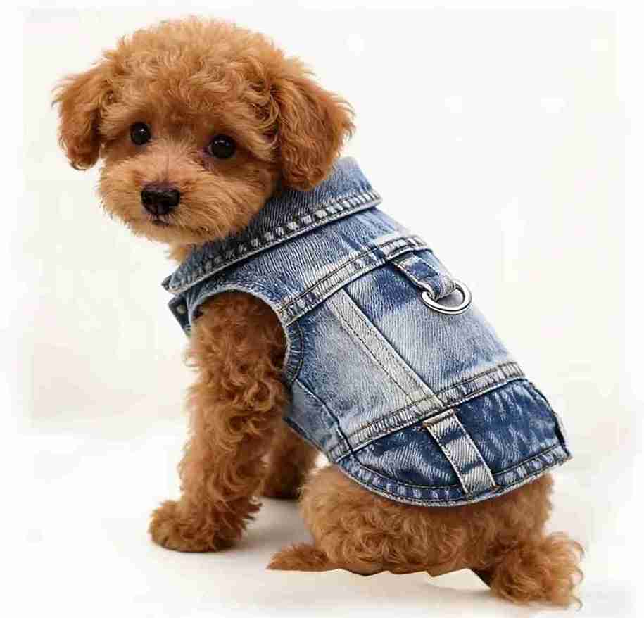 CHALECO DE MEZCLILLA XXS