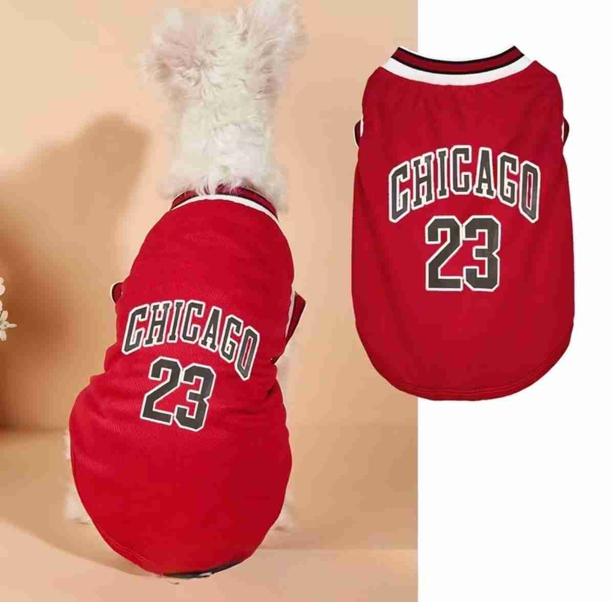 PLAYERA BULLS DE CHICAGO