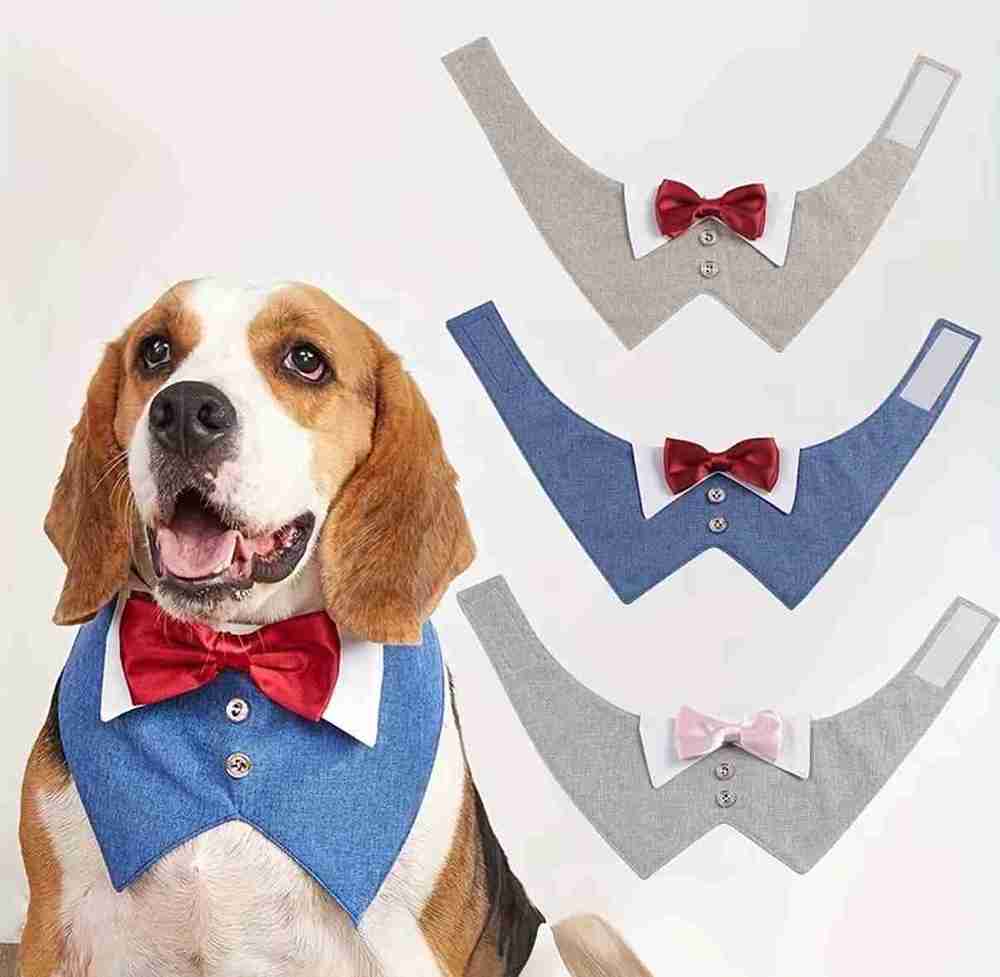 MOÑO CON CHALECO PARA PERRO MEDIANO/GRANDE