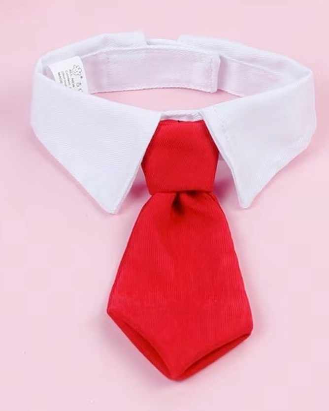 CORBATA PARA PERRO CHICO