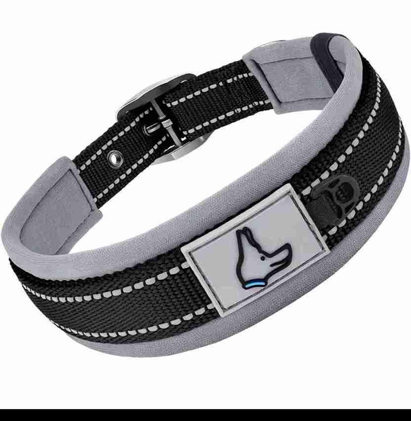 COLLAR PARA PERRO GRANDE