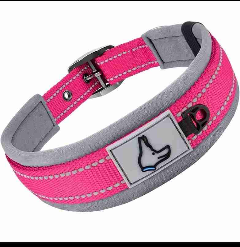 COLLAR PARA PERRO MEDIANO