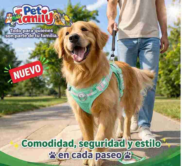 PECHERA PASTEL VERDE PISTACHO /PECHO 33-43CM) XXS