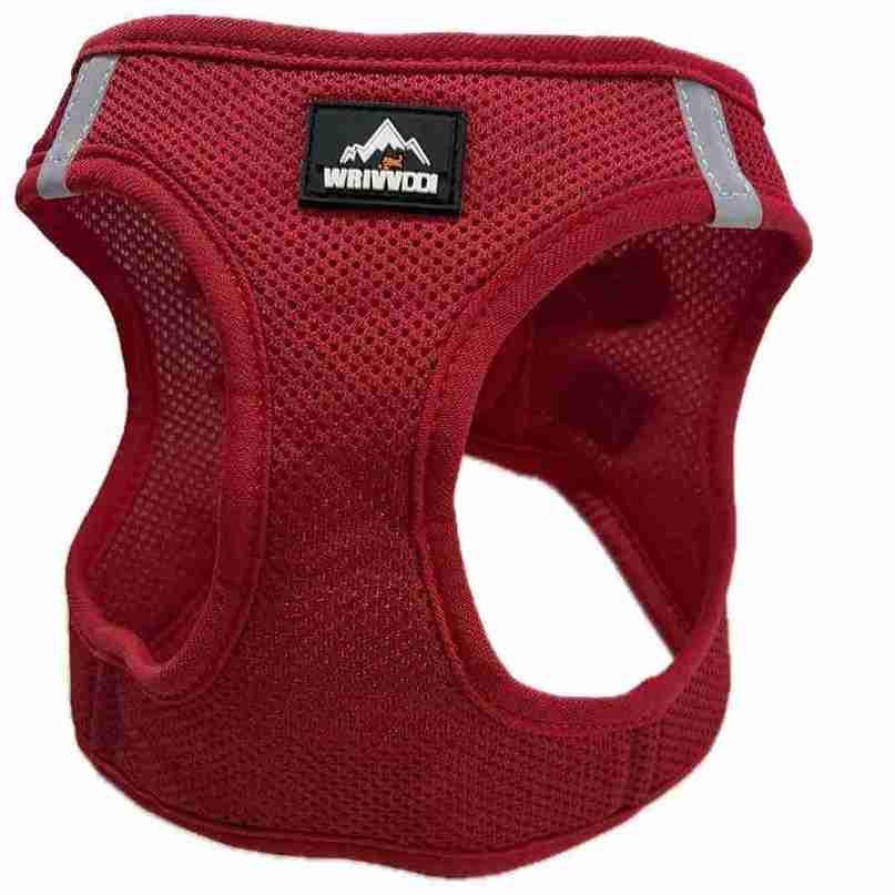 PECHERA LISA 32-36CM XS ROJO MANZANA