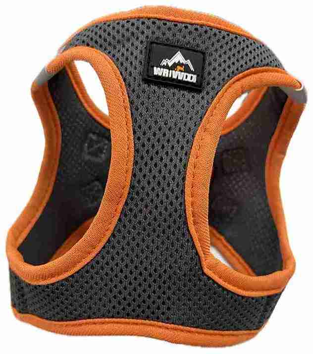 PECHERA LISA 32-36CM XS GRIS CENIZA Y NARANJA