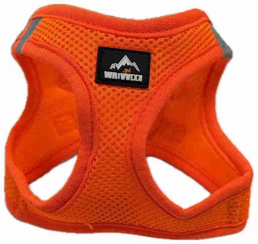 PECHERA LISA 28-32CM XXS NARANJA