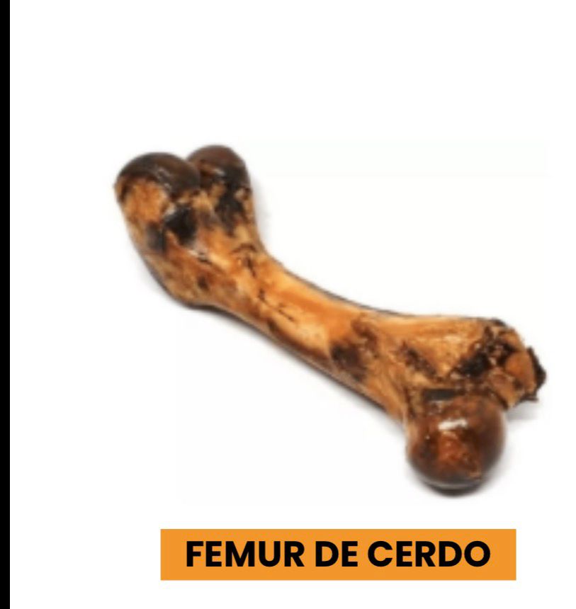 FEMUR CERDO DESHIDRATADO (PIEZA)
