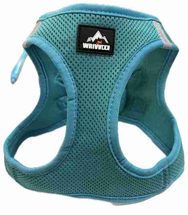 PECHERA LISA 28-32CM XXS AZUL GLACIAR