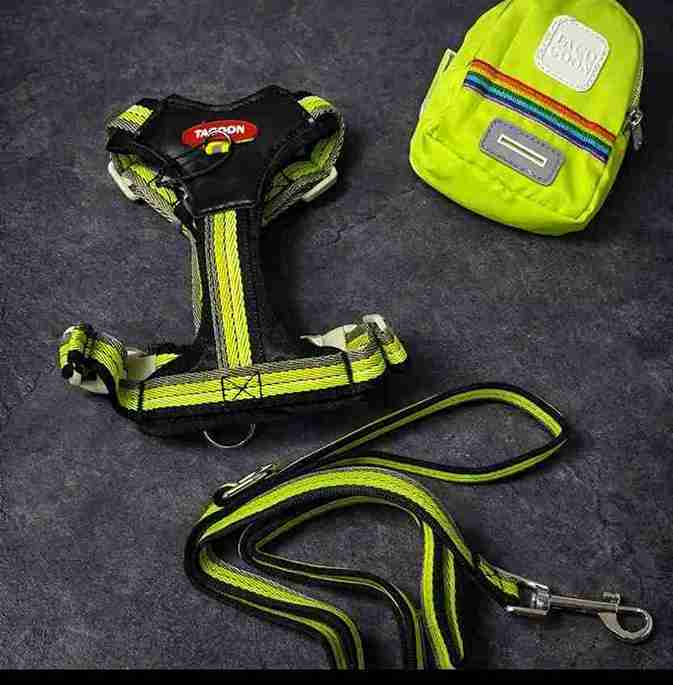 PECHERA CON MOCHILA  44-56CM LARGE VERDE A RAYAS