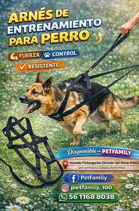 ARNÉS DE ENTRENAMIENTO DE ALTA TENACIDAD