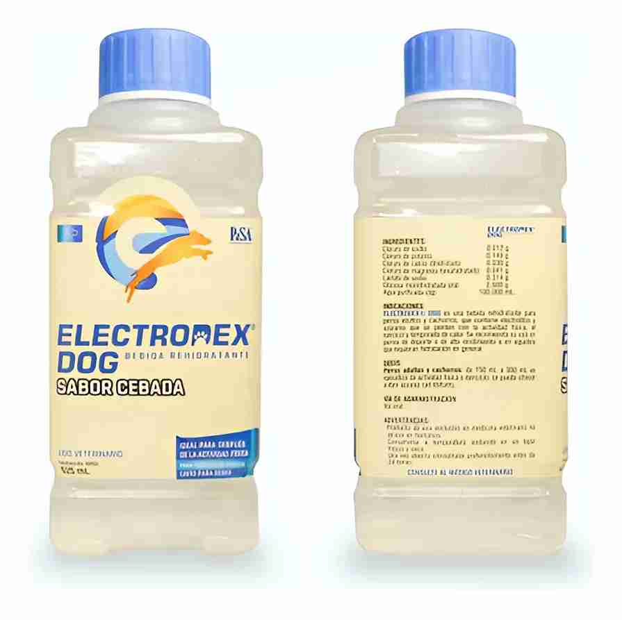 ELECTRODEX 625ML CEBADA