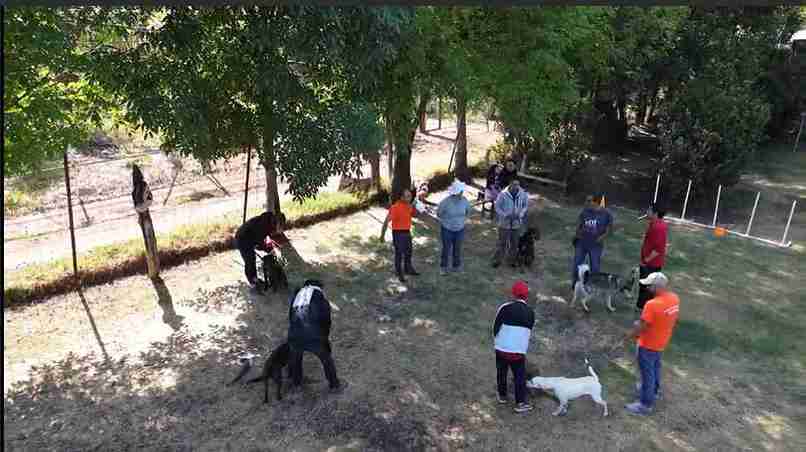 GUARDERÍA PARA PERROS MEDIANOS 8AM A 1PM O 1PM A 8PM