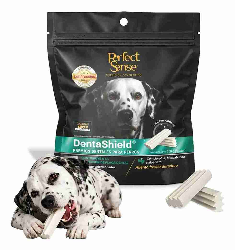 DENTAL SHIELD PERFECT SENSE