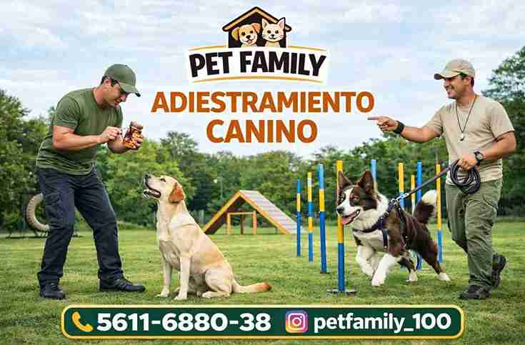 GUARDIA Y PROTECCIÓN BÁSICA (ESCOLARIZADO) 4 SEMANAS