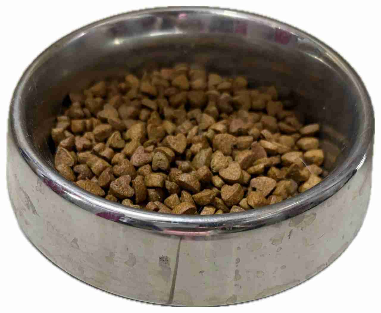 PLATO METÁLICO EUKANUBA