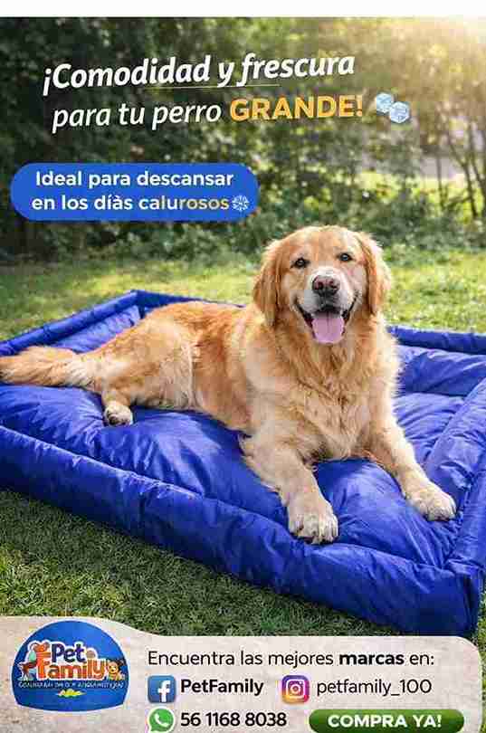 COLCHONETA DE LONA GRANDE