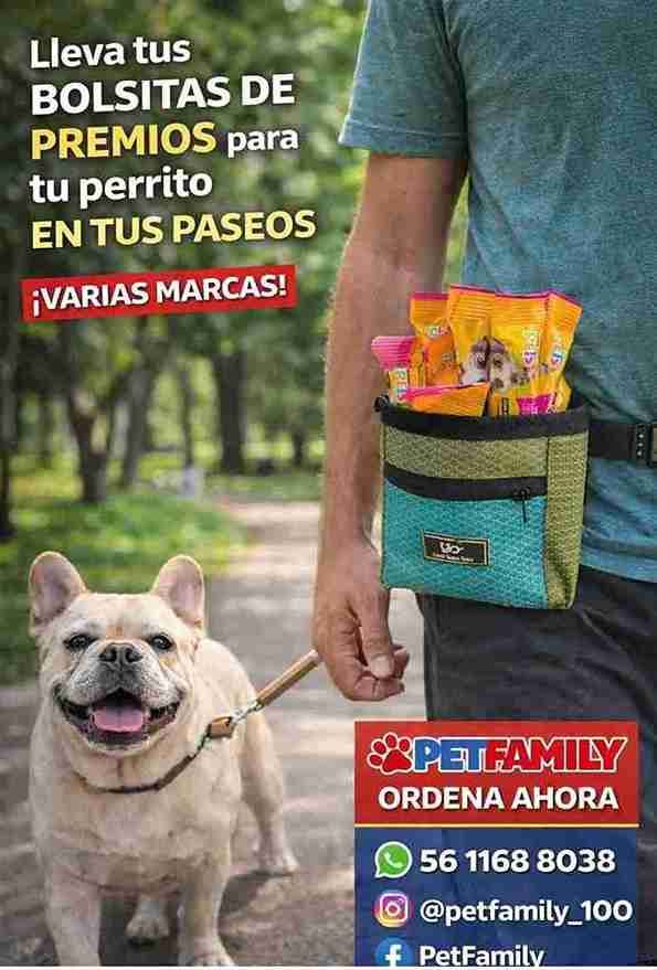 BOLSA PORTAPREMIOS COOL BAO BAO