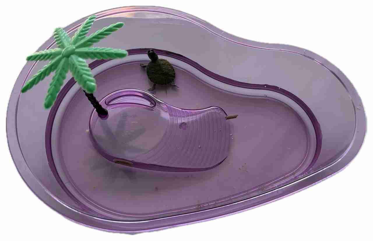 TORTUGUERO PET-PLAS MEDIANO