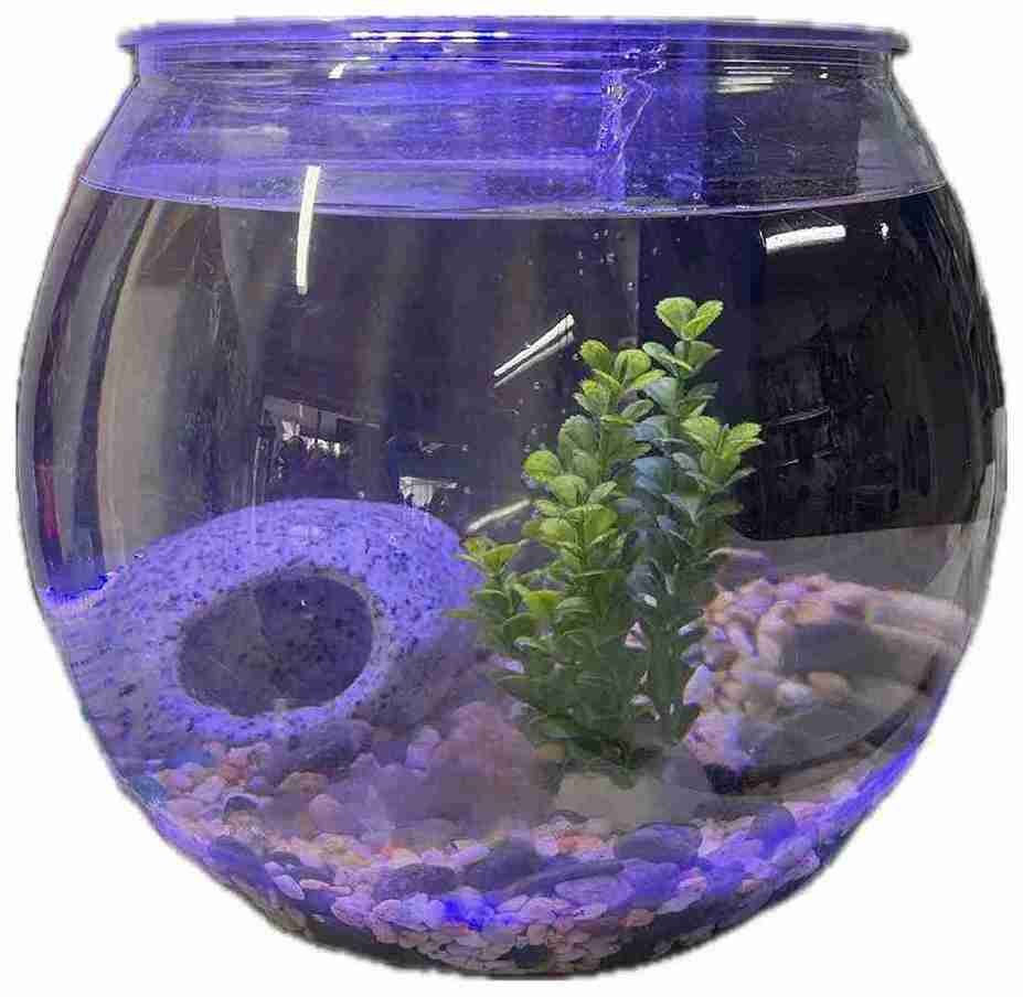 DOLPHIN ROCA/CUEVA DE ARENA Y RESINA CHICA