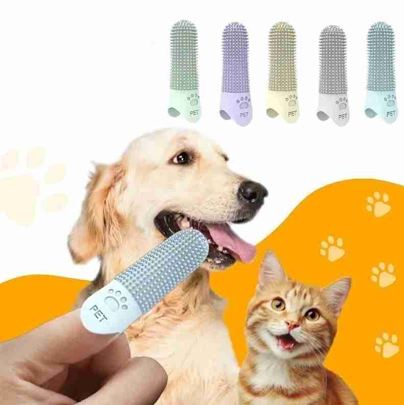 2 DEDALES PARA LIMPIEZA DENTAL