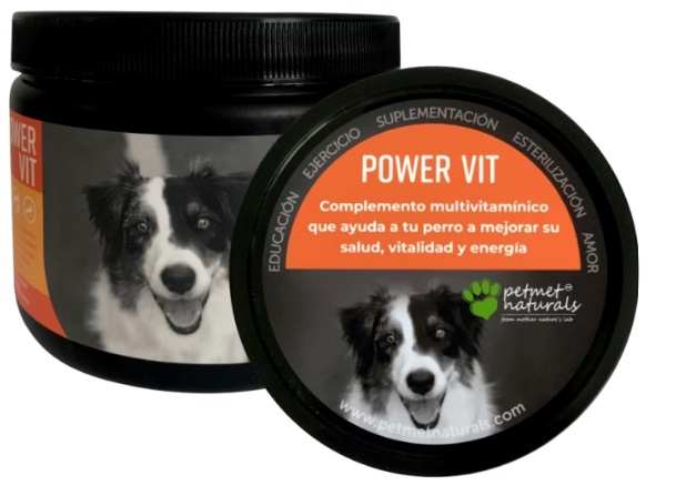 POWER VIT MULTIVITAMÍNICO 300GR