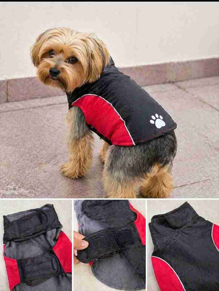 CHALECHO IMPERMEABLE ROJO/NEGRO CHICO