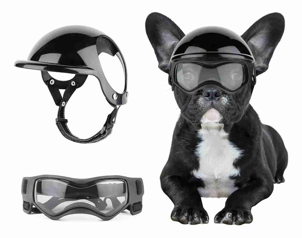CASCO CON LENTES CHICO PARA PERRO