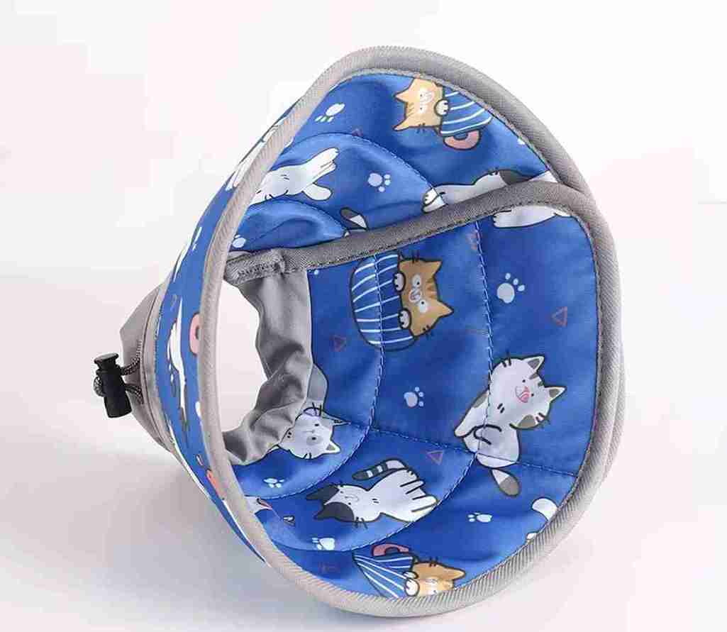 ISABELINO DE TELA CHICO