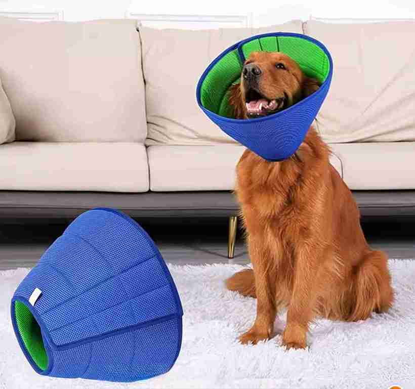 ISABELINO DE TELA GRANDE