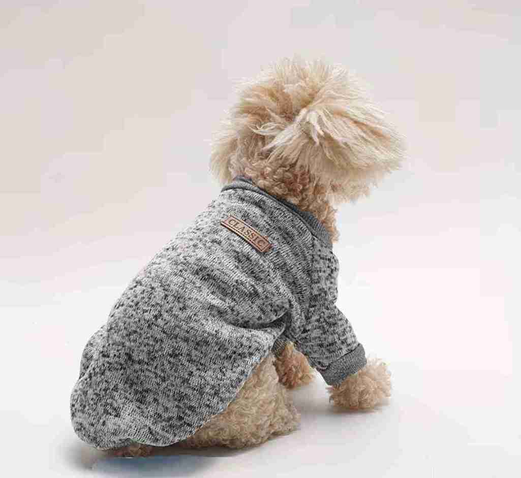 IMPERMEABLE PARA PERROS MEDIANO (AZUL CIELO)