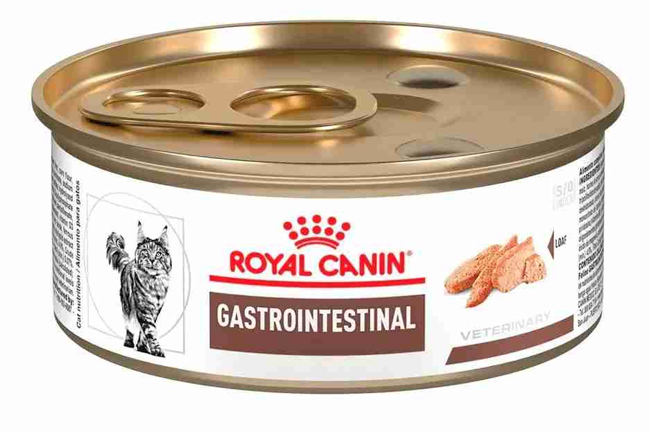 ROYAL CANIN GASTROINTESTINAL PARA GATO 145GR.