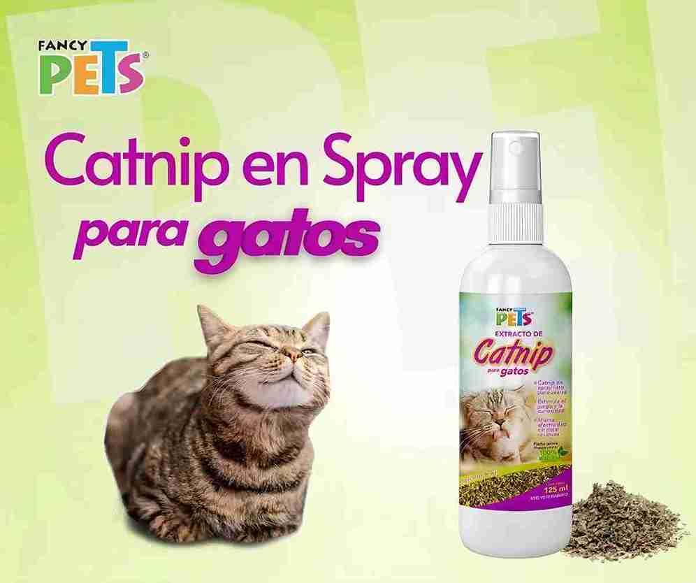 EXTRACTO  DE CATNIP FANCY PETS PARA GATO 125ML