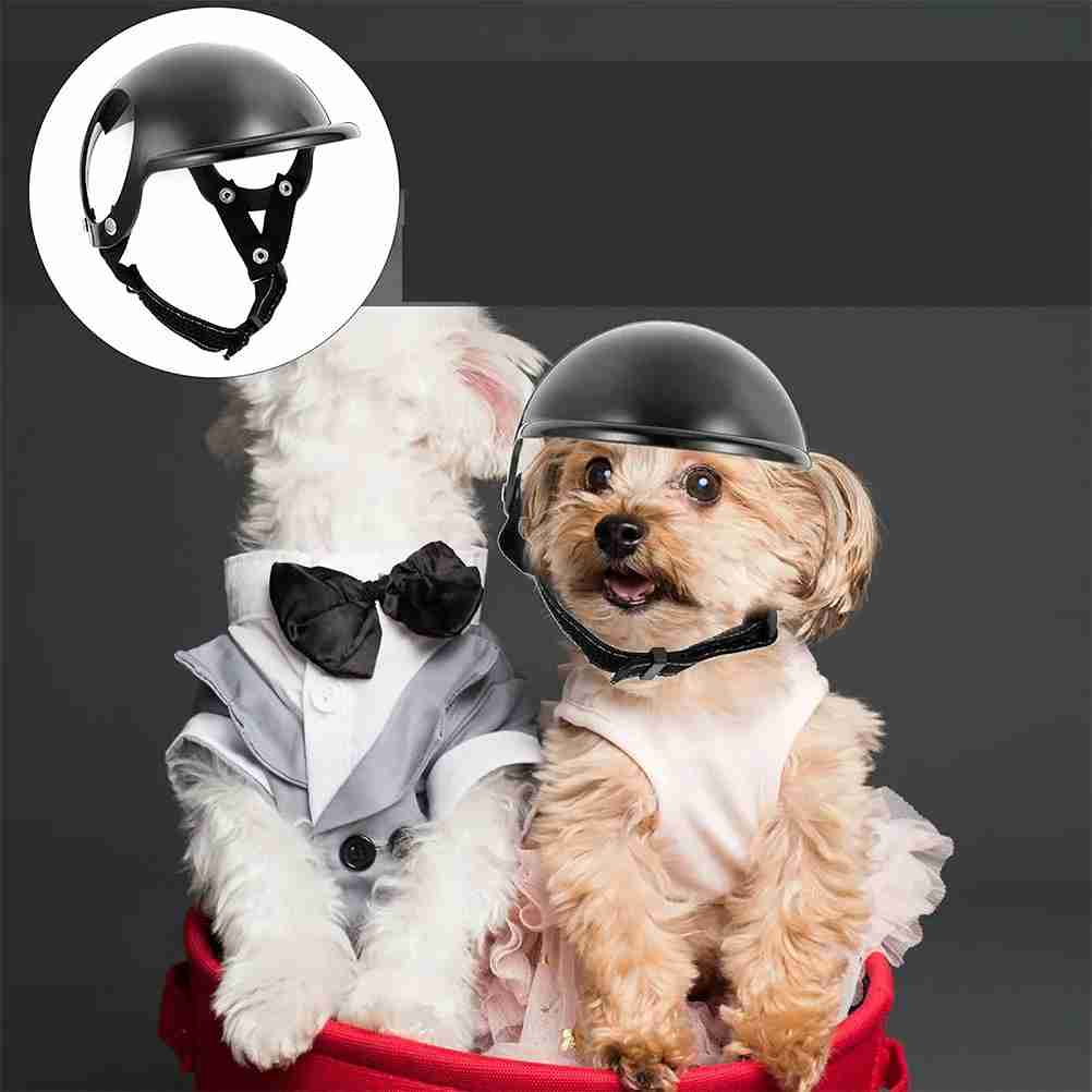 CHAMARRA IMPERMEABLE XL PARA PERRO CHICO (DOG SHOW)