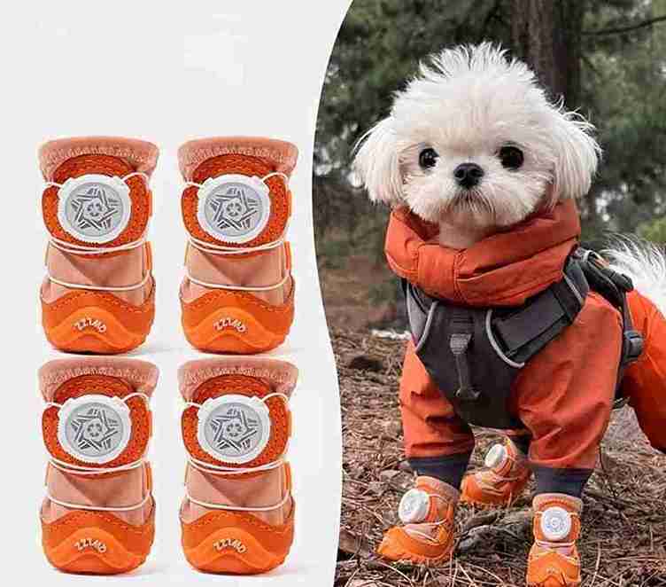 BOTAS PARA PERRO (VARIOS DISEÑOS Y COLORES)