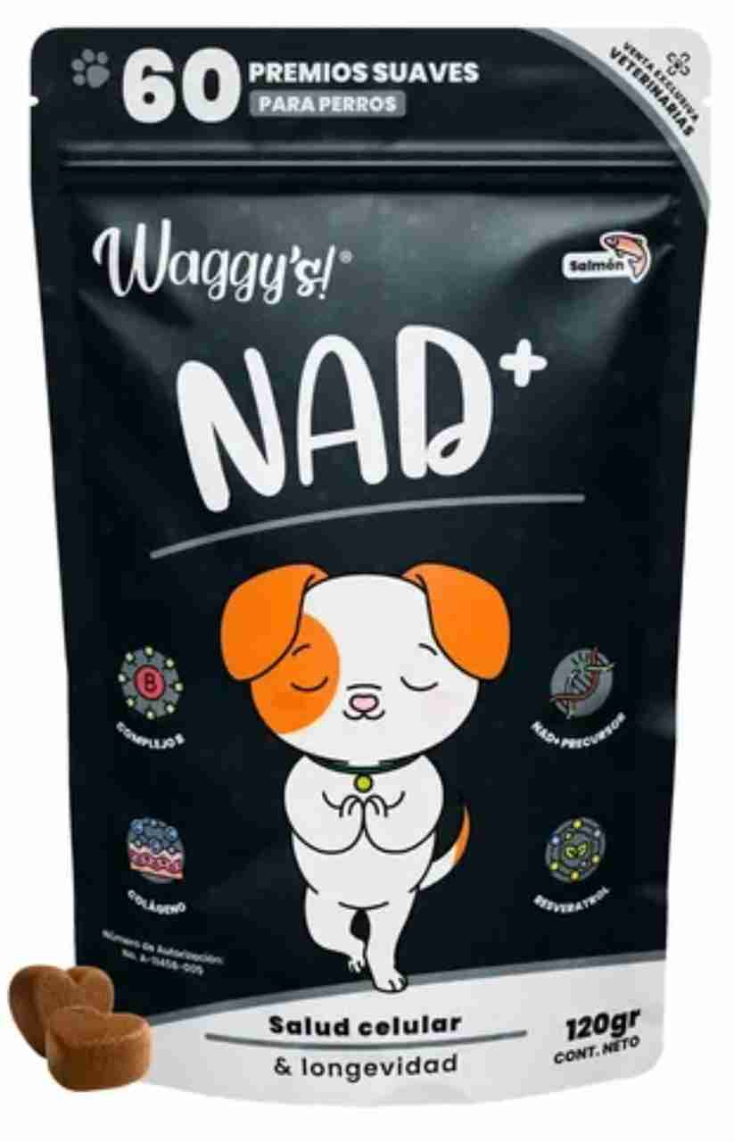 WAGGYS NAD+