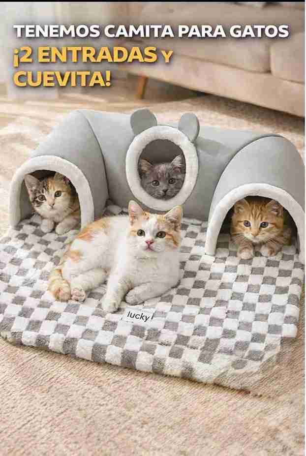 TUNEL DOBLE PARA KITTEN