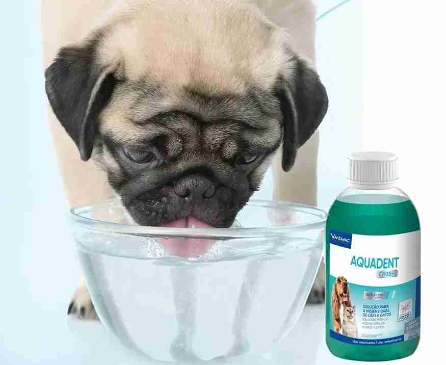 AQUADENT FRESH 250ML