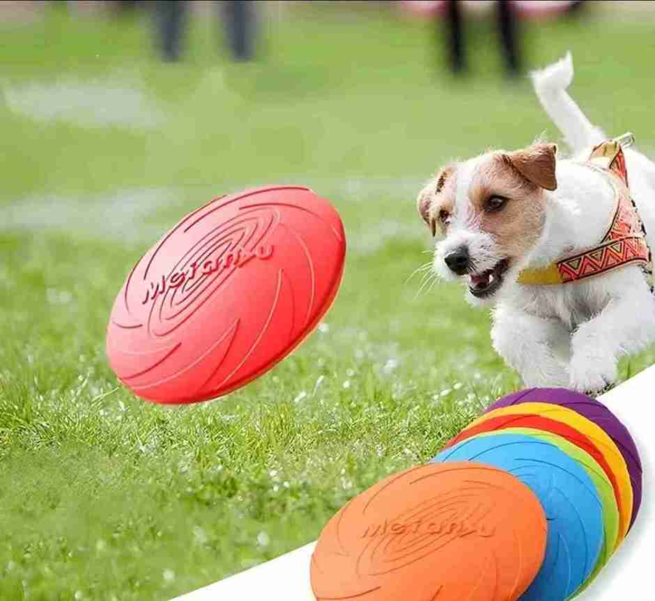 FRISBY VARIOS COLORES