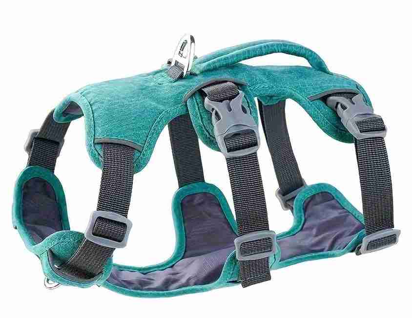 PECHERA PARA PERRO PEQUEÑO VERDE ESMERALDA