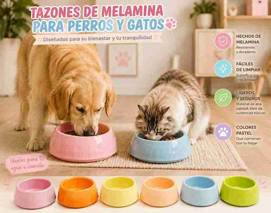 PLATOS DE MELAMINA CHICO (VARIOS COLORES)
