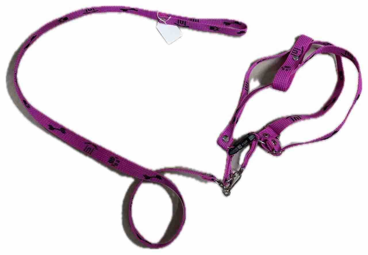 CORREA CON COLLAR HUELLITAS CHICA