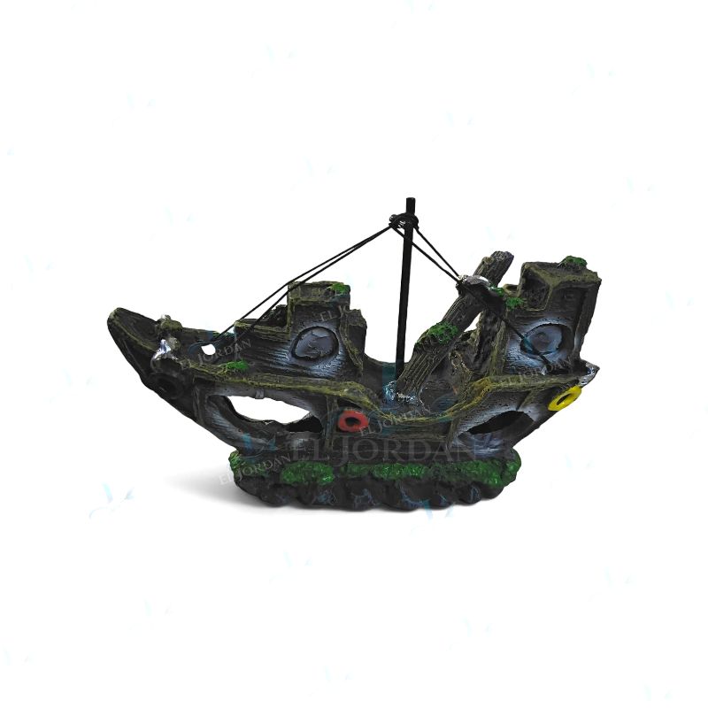 BJSZ-175 Barco Naufragio